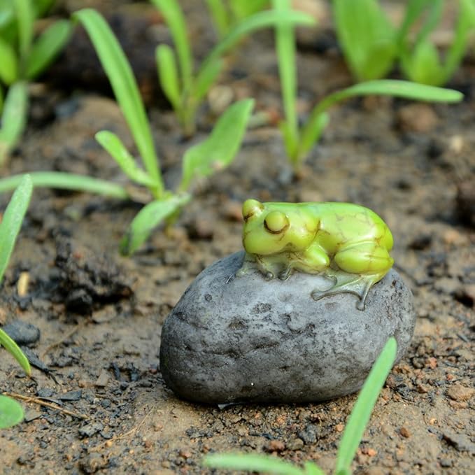 Top Collection Miniature Fairy Garden and Terrarium Statue, Sleeping Cute Frog on Stone
