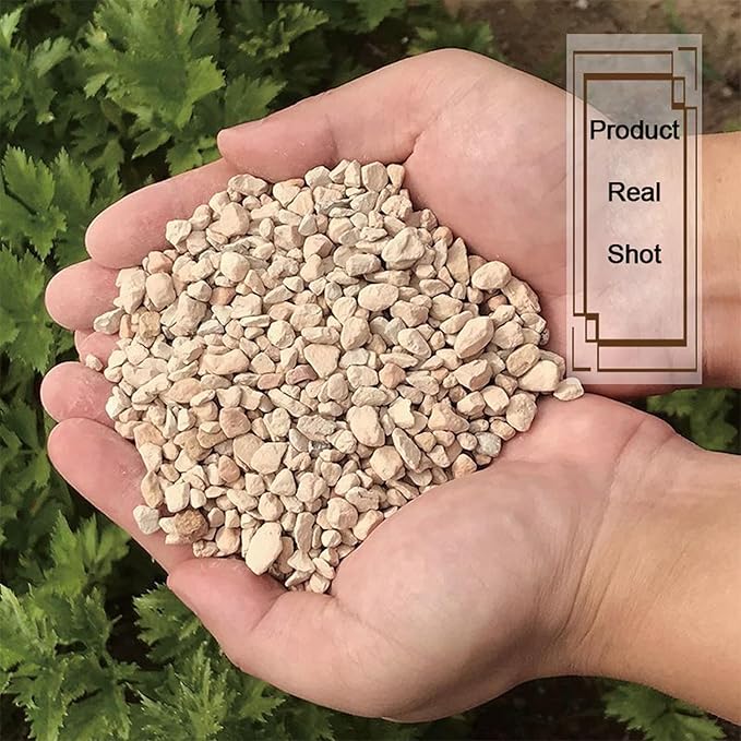 2.5lb Premium Diatomite Rocks Soil Amendments Diatomaceous Earth(DE) Soil Additive for Succulent, Cacti, Indoor & Outdoor Container Plants- Fast Drainage, No Root Rot and Promotes Root Growth