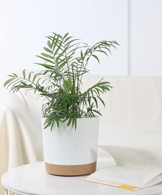 kubvici Indoor Plant Pots Planters 8 inch Plastic Planter with Hole & Saucer Flower Pots Modern Decorative for Outdoor Garden Home (White x 3 Pack)