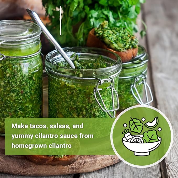 Sow Right Seeds - Cilantro Seeds for Planting - Non-GMO Heirloom Packet with Instructions to Grow a Kitchen Herb Garden - Great Addition to Your Cooking - Make Coriander Seasoning - Zesty Herb (1)