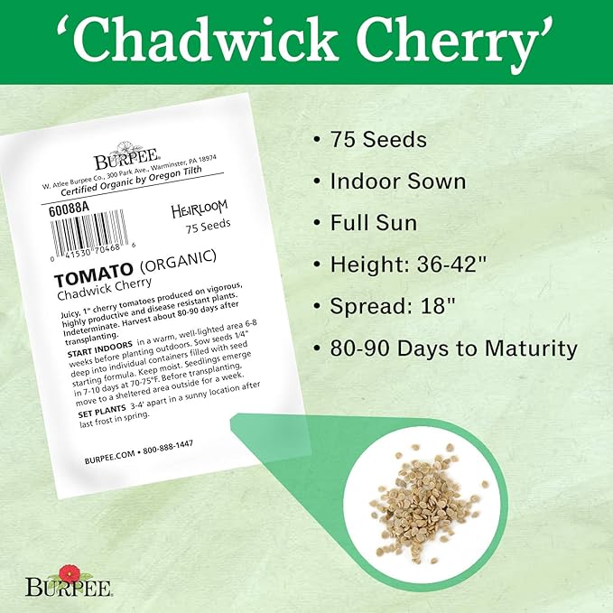 Burpee 'Chadwick Cherry' Organic, Red Cherry Tomato, 75 Non-GMO Seeds