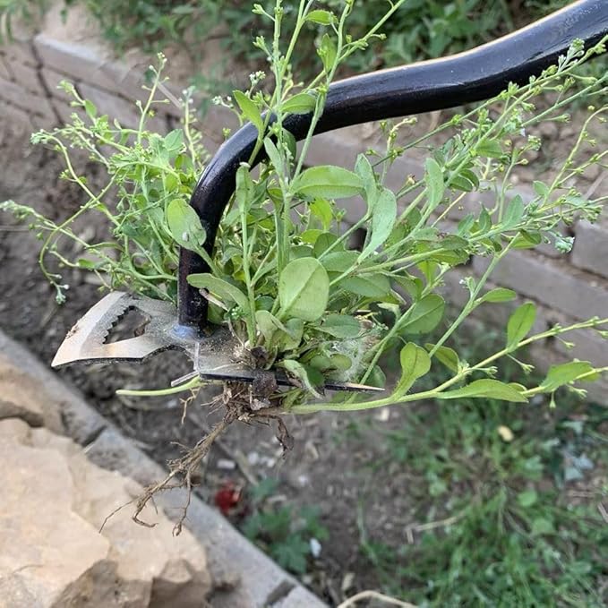 Stainless Weeding Artifact Uprooting Weeding Tool, Stainless Steel Forged Weed Puller 4 Teeth Dual Purpose Weeder, Hand Weeder Tool for Gardening with Long Handle, Silver 4Pcs