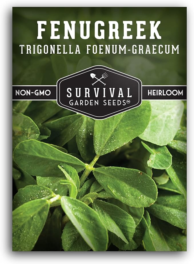 1 Pack Fenugreek Seed for Planting with Instructions to Grow Samudra Methi in Your Home Vegetable Garden - Non-GMO Heirloom - Good Microgreens or Sprouts - Survival Garden Seeds