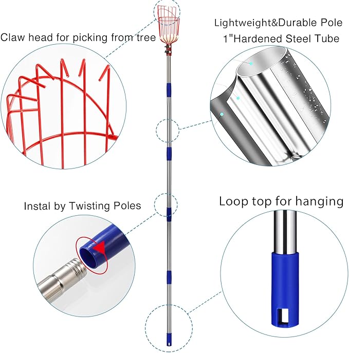 DonSail Fruit Picker Pole Tool with Basket Telescoping Long Handle, 35-65 Inch Adjustable Apple Orange Picker Pole Tool with Basket for Avocado Acorn Lemon Pear Mango Tree Picker