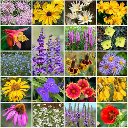 Grow Your Own Vibrant Annual and Perennial Wild Flower Garden Seeds Mixture, Varieties for Pollinators and Spring Gardens - Native Perennial Mix, 1/4 lb