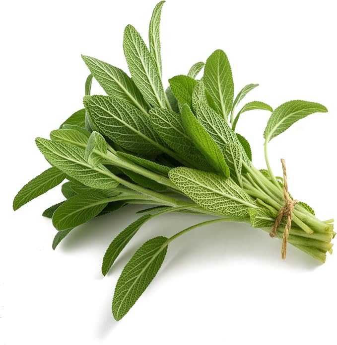 TKE Farms & Gardens - Sage Seeds for Planting - 120+ Heirloom Non-GMO Sage Seeds, Ideal for Indoor & Outdoor Gardens, Great for House Plant Seeds, Salvia officinalis, Includes Growing Instruction