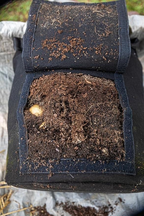 Gardzen 6 Pack BPA-Free 10 Gallon Vegetable Grow Bags with Access Flap and Handles, Suitable for Planting Potato, Taro, Beets, Carrots, Onions, Peanut