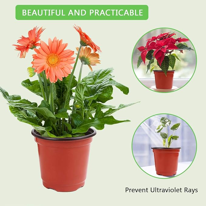 Augshy 220 Pcs 4 Inch Plastic Plant Nursery Pots Seed Starting Pots Containers with 300 Labels for Succulent Seedling Cutting Transplanting