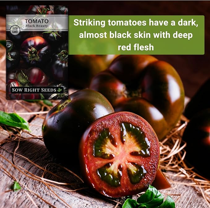 Sow Right Seeds - Black Beauty Tomato Seeds for Planting - Non-GMO Heirloom Packet with Instructions to Plant an Outdoor Home Vegetable Garden - Rare Deep Purple Slicing Variety - Sweet Flavor (1)
