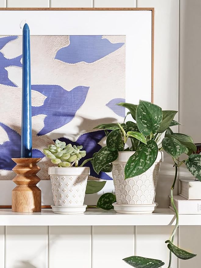 LE TAUCI Succulent Pots, Cute Indoor Plant Pot with Saucer, 4 Inch Mini Ceramic Flower Pots with Drainage, for Plant Lover or Mothers Day,Housewarming, Decorative Lovely Planter for Cactus,Set of 4