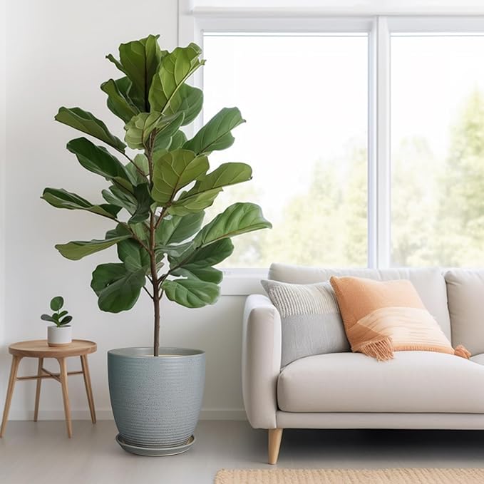 12 Inch Plant Pot, Ceramic Planter Pot with Drainage Hole and Saucer Round Large Flower Pot for Indoor Plants, Light Gray