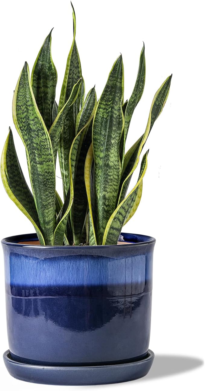 8 Inch Plant Pot: Ceramic Planter with Drainage Hole & Saucer - Gradient Blue Flowerpot for Indoor & Outdoor Plants with Separate Tray