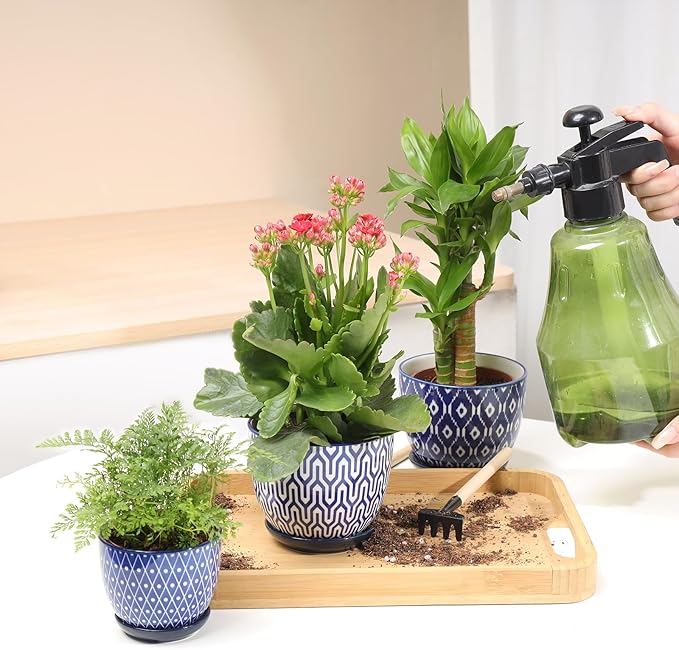 Selamica Ceramic Succulent Pots with Drainage Holes, Small Flower Pots 3.5 Inch Plant Pots for Indoor Plants with Saucers, Cactus Succulent, Home Decor, Set of 4, Vintage Blue