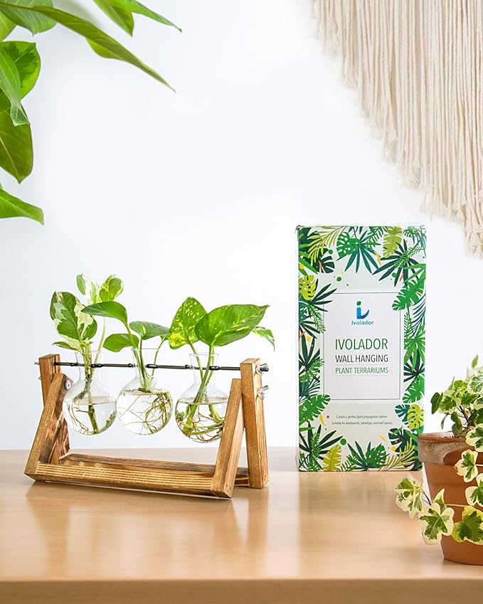 Ivolador Propagation Station, Bulb Plant Terrarium,Planter and Holder Plant Lover Gifts for Women ，Gifts for mom，Plants Home Garden Wedding Decor (3 Bulb-C Type)