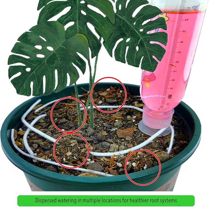 Microwater Plant Watering Reservoir, Suitable for Everyday and Holiday use, Automatic drip Irrigation with microadjuster Switch for Indoor and Outdoor，Large and Small Plants (Pack of 6)