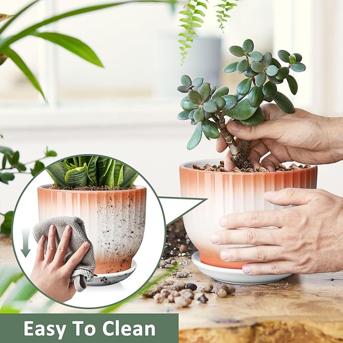 6.7 + 5.5 Inch Plant Pot, Ceramic Planter with Drainage and Saucer, Ceramic Pots for Plants, Indoor Plant pots,Ceramic Flower pots（Orange + White, Plants NOT Included）