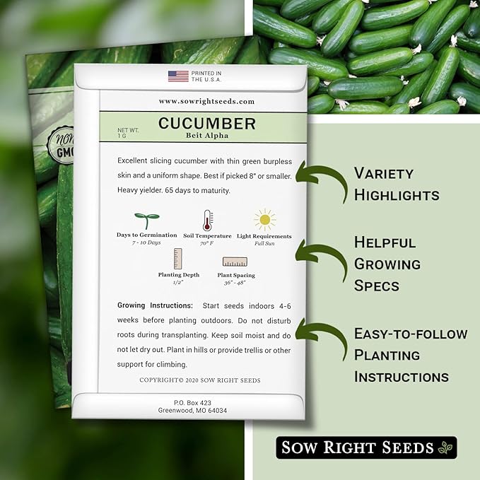 Sow Right Seeds - Beit Alpha Cucumber Seeds for Planting - Non-GMO Heirloom Packet with Instructions to Plant and Grow a Home Vegetable Garden - Start Indoors, Plant Outdoors with Trellis (1)