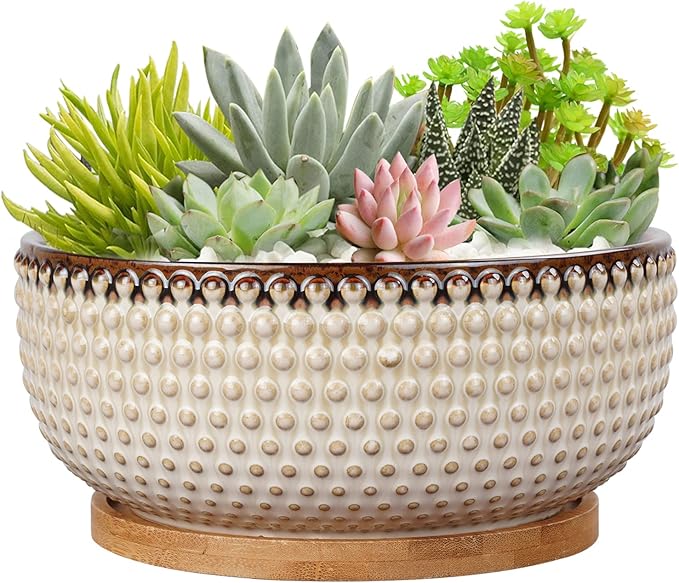 8 Inch Ceramic Succulent Shallow Planter Pot with Drainage Hole and Saucer Bonsai Planter for Indoor Plants White