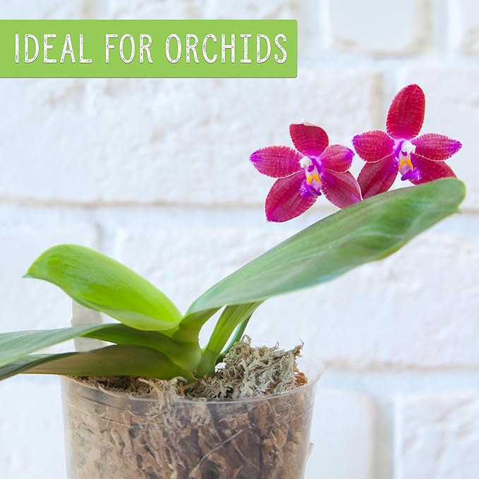 All Natural Sphagnum Moss Potting Mix (2 Quarts), Dried Moss Blend for Carnivorous Plants, Orchids, Top Dressing, and More