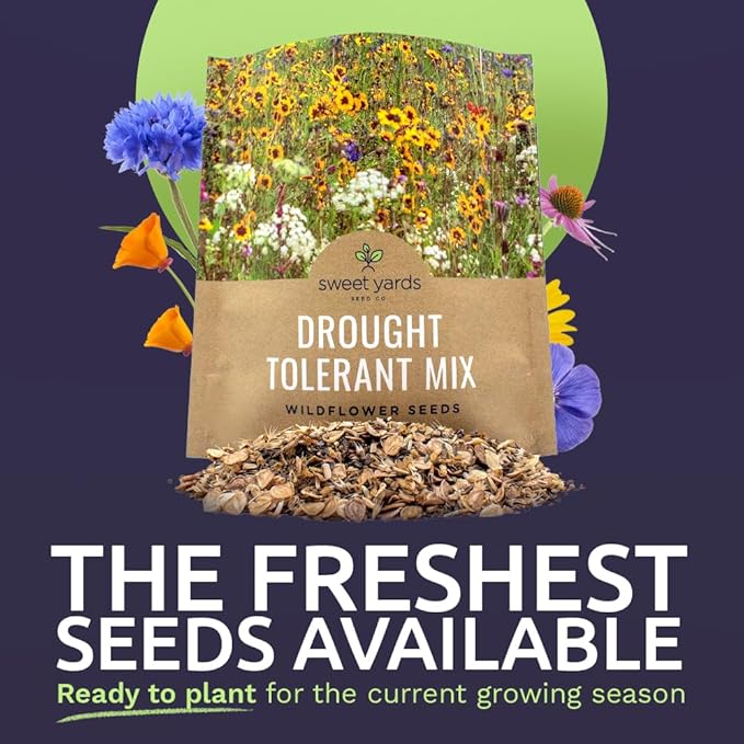 Drought Tolerant Wildflowers Mix – Extra Large Packet – Over 7,500 Open Pollinated Non-GMO Seeds – 21 Different Dryland Species
