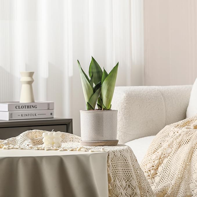 6 Inch Plant Pot: Ceramic Planter with Drainage Hole & Saucer - Cylinder Round Flowerpot for Indoor & Outdoor Plants - with Separate Tray for Home & Office - Retro Style, Grey