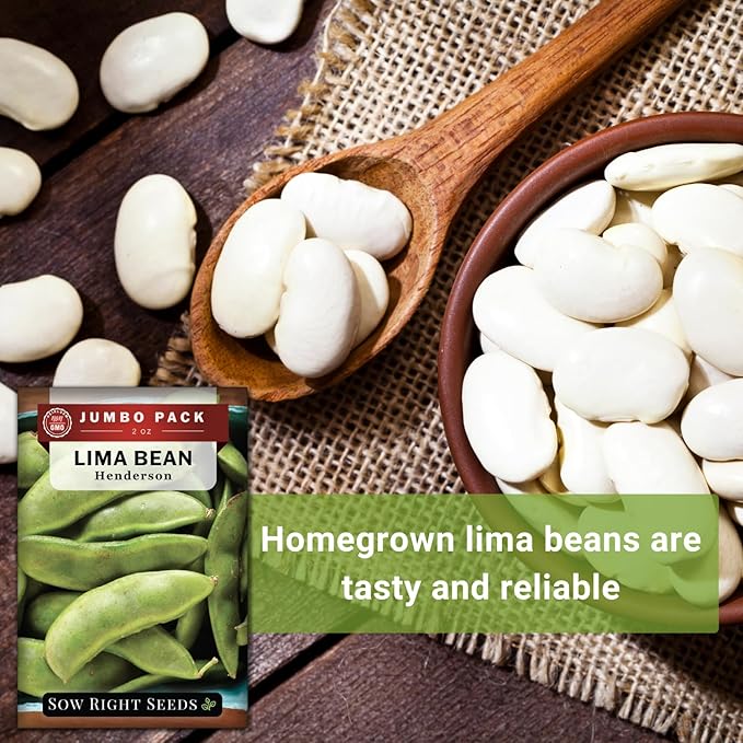 Sow Right Seeds - Bulk Bush Henderson Lima Bean Seeds for Planting - 2 Ounce, 140 Seeds - Non-GMO Heirloom Jumbo Pack with Instructions to Plant an Outdoor Home Vegetable Garden