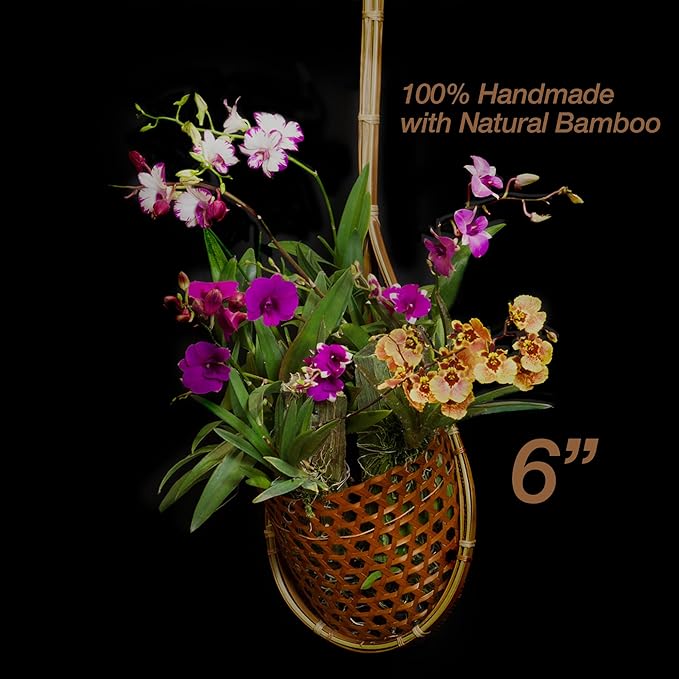 Handmade 100% Thai Bamboo 6 Inch Signature Super Sanctuary SIAM Orchid Hanging Basket with Nursery Grade Coconut Shell Staves Coir Pith Sponge & Husk Mulch