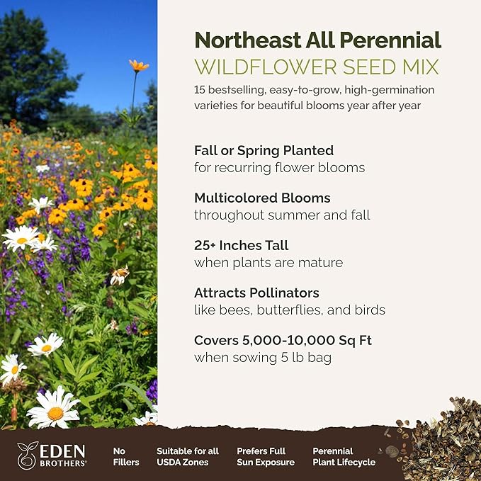 Eden Brothers Northeast All Perennial Wildflower Mixed Seeds for Planting, 5 lb, 2,400,000+ Seeds with Milkweed, NE Aster | Attracts Pollinators, Plant in Spring or Fall, Zones 3, 4, 5, 6, 7, 8, 9, 10
