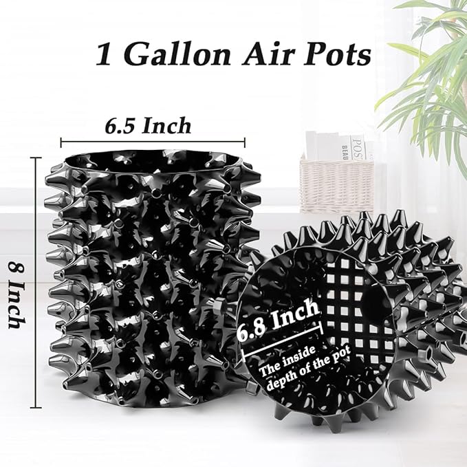 1 Gallon Air Pruning Pots New Plastic Nursery Pots Fruit Vegetable Garden Self-Planting Pots (10), Black (1G-10P)