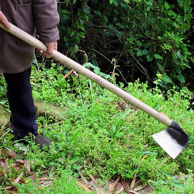 DOITOOL Hand Hoe Head Replacement Hoe Garden Tool Heavy Duty Farm Hoe Gardening Planting Agricultural Tiller Digging Weeding Tool Hoe Head for Agriculture