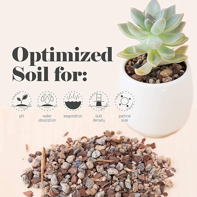 Succulent and Cactus Soil - Jacks Gritty Mix -2 Gallons – Fast Draining – Fight Root Rot – Optimized pH