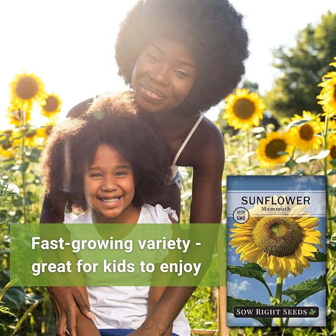 Sow Right Seeds - Mammoth Sunflower Seeds to Plant - Grow Giant Sunflowers in Your Garden - Non-GMO Heirloom Seeds for Planting an Outdoor Garden - Bright Yellow Blooms - Attract Bees and Birds (3)