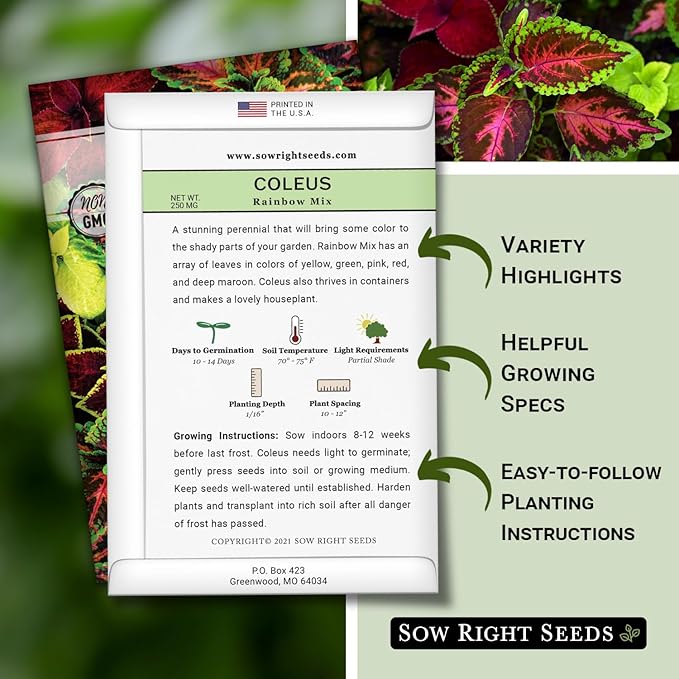Sow Right Seeds - Coleus Rainbow Mix Seeds for Planting - Beautiful Flowers to Plant in a Home Garden - Indoors or Outdoors - Non-GMO Heirloom Seeds - Attractive & Colorful - Great Gardening Gift (3)