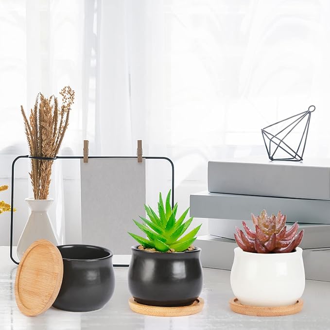 12 Pack Succulent Plant Pot, Mini 2.6 inch Ceramic Flower Planter Pot with Bamboo Tray, Small Pots for Plants, Plants Not Included （White, Black）