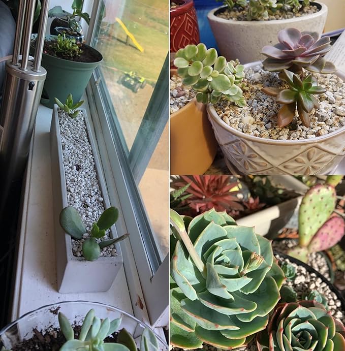 Horticultural Pumice for Plants Professional Sifted (8QT, 1/2 inch)