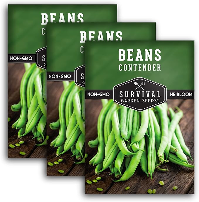 3 Packs Contender Bush Bean Seed for Planting with Instructions to Grow Delicious & Stringless Green Beans in Your Home Vegetable Garden - Non-GMO Heirloom - Survival Garden Seeds
