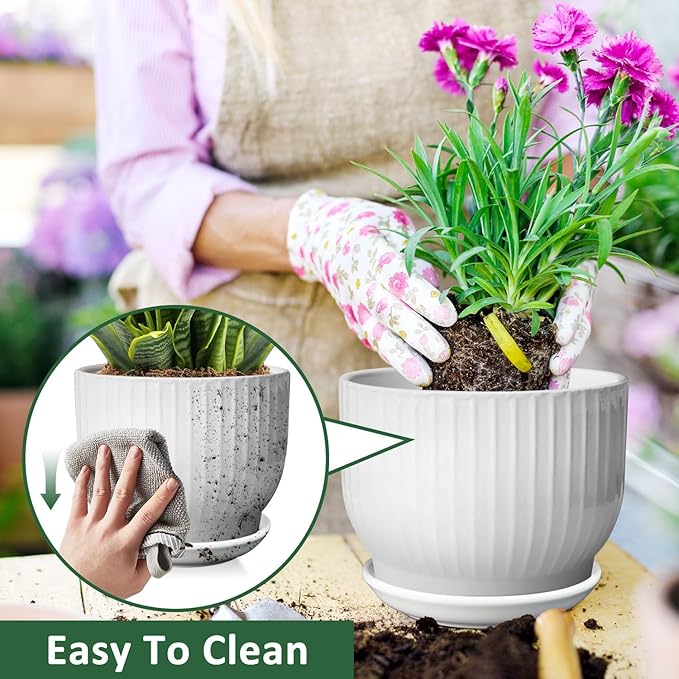 8 Inch Plant Pot, Ceramic Planter with Drainage and Saucer, Ceramic Pots for Plants, Indoor Plant pots,Ceramic Flower pots(Pure White, Plants NOT Included)
