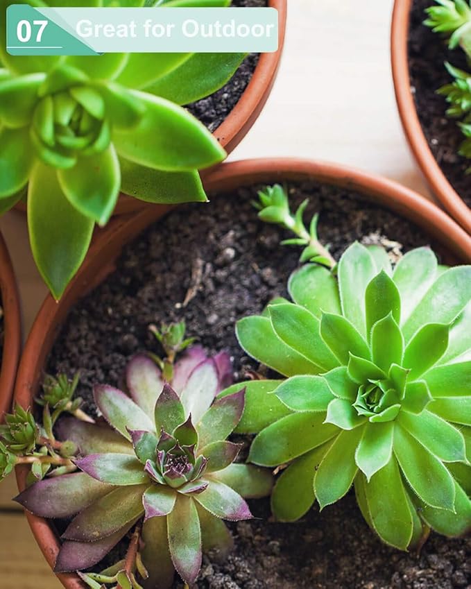 vensovo 3.7 Inch Terracotta Shallow Succulent Pots - 6 Pack Terra Cotta Clay Pot with Saucer, Cacuts Indoor and Outdoor Planters with Drainage Hole