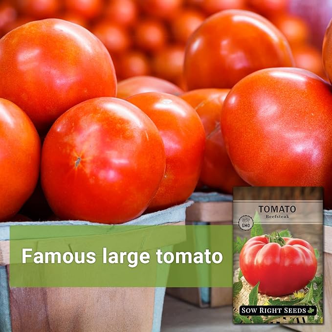 Sow Right Seeds - Beefsteak Tomato Seeds for Planting - Non-GMO Heirloom Packet with Instructions to Plant a Home Vegetable Garden - Indeterminate, Super Large and Bright Red Fruits (4)