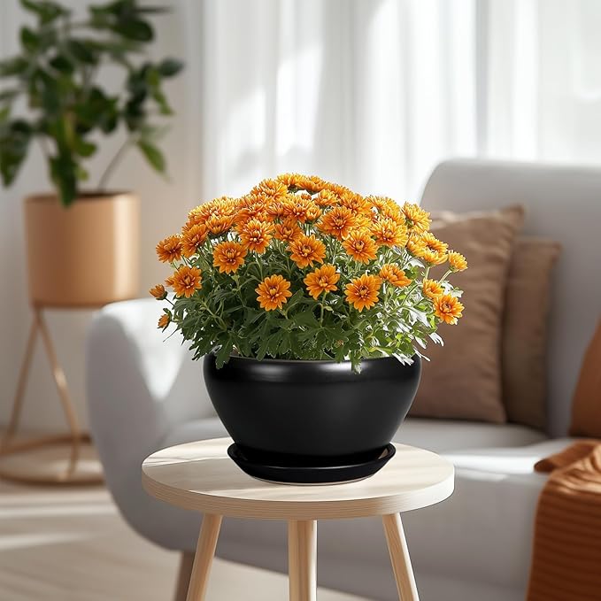 Plant Pot Large 9 Inch - Ceramic Pots for Plants with Drainage Hole and Saucer Round Planter for Indoor Plants Decorative Outdoor Flower Pot Large for House Balcony Black