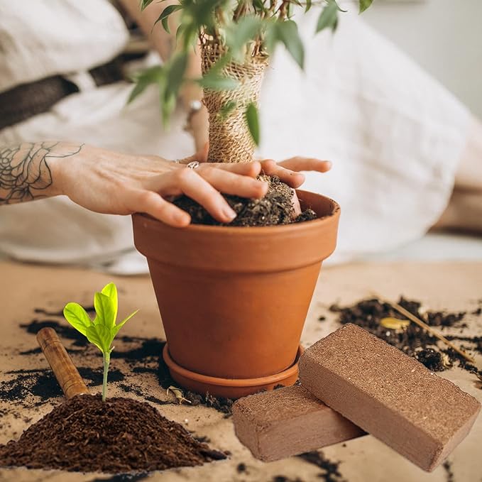 ZeeDix 8 Pcs Premium Coco Coir Brick for Plants, Compressed Coconut Coir 100% Organic Coconut Coir Bricks with Low EC and pH Balance, Coconut Husk Soil Bricks for Gardening Vegetables Plants