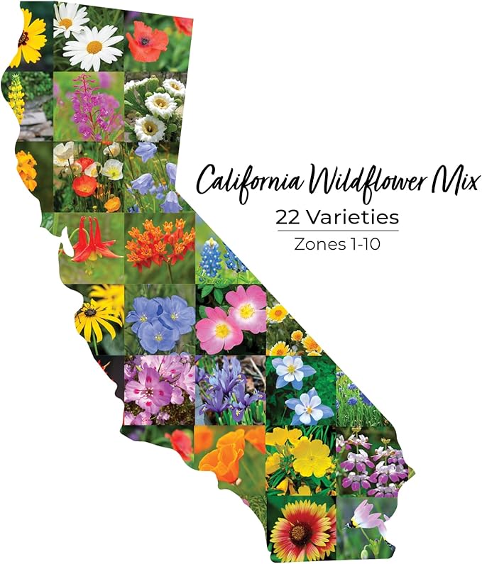 California Wildflower Seed Mix, Covers 325 Sq Ft, 22 Flower Varieties, Over 54,000 Seeds - Created By Nature