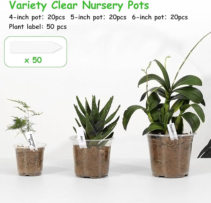 60 Pack 4/5/6 Inch Clear Nursery Pots with Drainage Holes, Transparent Plastic Pots for Plants, Reinforced Seed Starter Pots Flower Pots Come with 50pcs Plant Labels