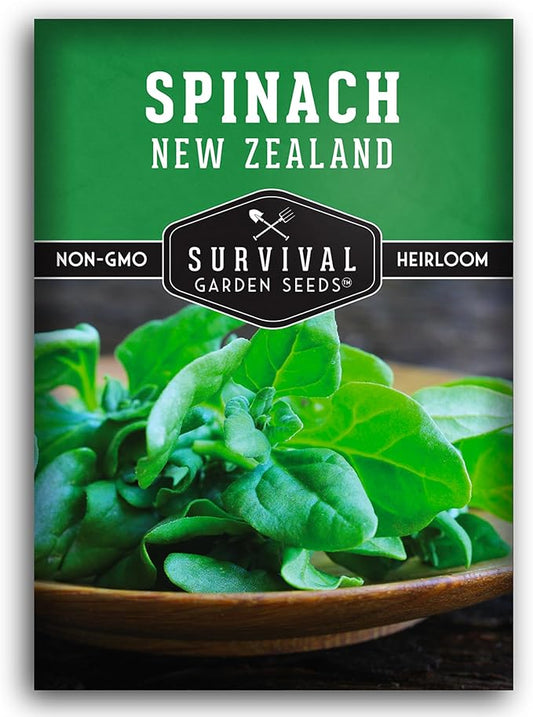 New Zealand Spinach Seed for Planting - 1 Packet with Instructions to Plant & Grow Tetragonia Tetragonoides in Your Home Vegetable Garden - Non-GMO Heirloom Variety - Survival Garden Seeds