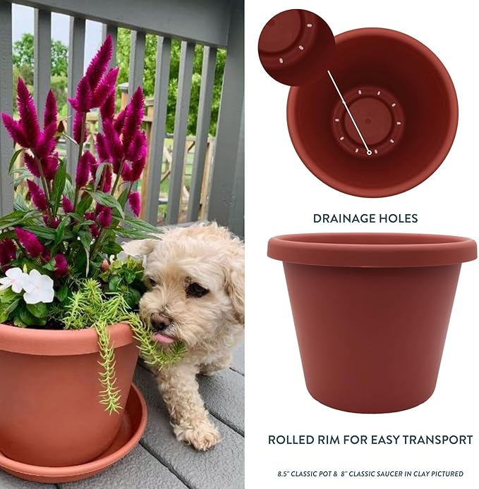 The HC Companies 24 inch Round Classic Planter - Large Plastic Plant Pot for Indoor Outdoor Plants Flowers Herbs, Clay Color (2 Pack)