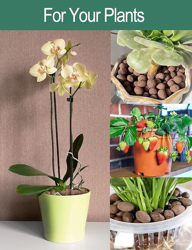 Expanded Hydroponic Clay Pebbles 2.5qt, 8mm-12mm, Natural Organic Flower Orchid Plant Grow Media, Porous Stones for Hydroponics, Drainage, Decoration, Aquaponics and Other Gardening Essentials