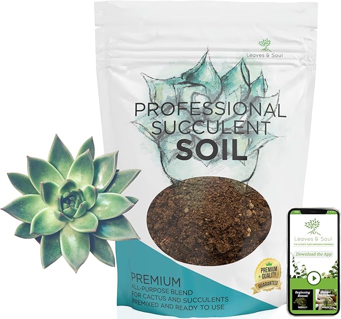 Large Bag Succulent Soil Premium All Purpose Blend | Pre-Mixed Ready to Use for Cactus and Succulents | Canadian Peat, Course Sand, Pinebark | Extra Large 8.2 Quarts | Made in USA