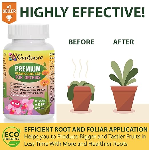 Orchid Health Boost - 16 oz - Concentrated Kelp & Seaweed Extract for Strong and Resilient Orchids