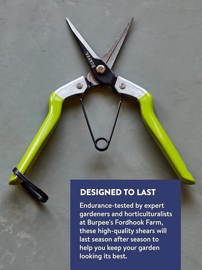 Burpee CR725 Garden Pruning Shears - Garden Hand Tools - Lightweight Precise Pruners for Gardening - Great for Flower Trimming or Vegetable Harvesting - Gardener Gifts