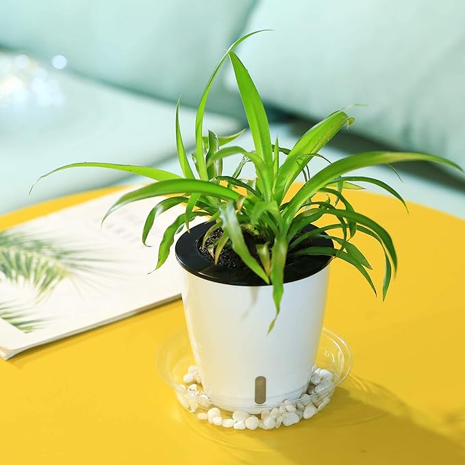 Planterhoma 5 Inch Self Watering Pots for Indoor Plants, 6 Packs White African Violet Pots with Water Indicator and Black Wick Pots, Self Watering Planters for Devil's Ivy, Indoor Plant Pots